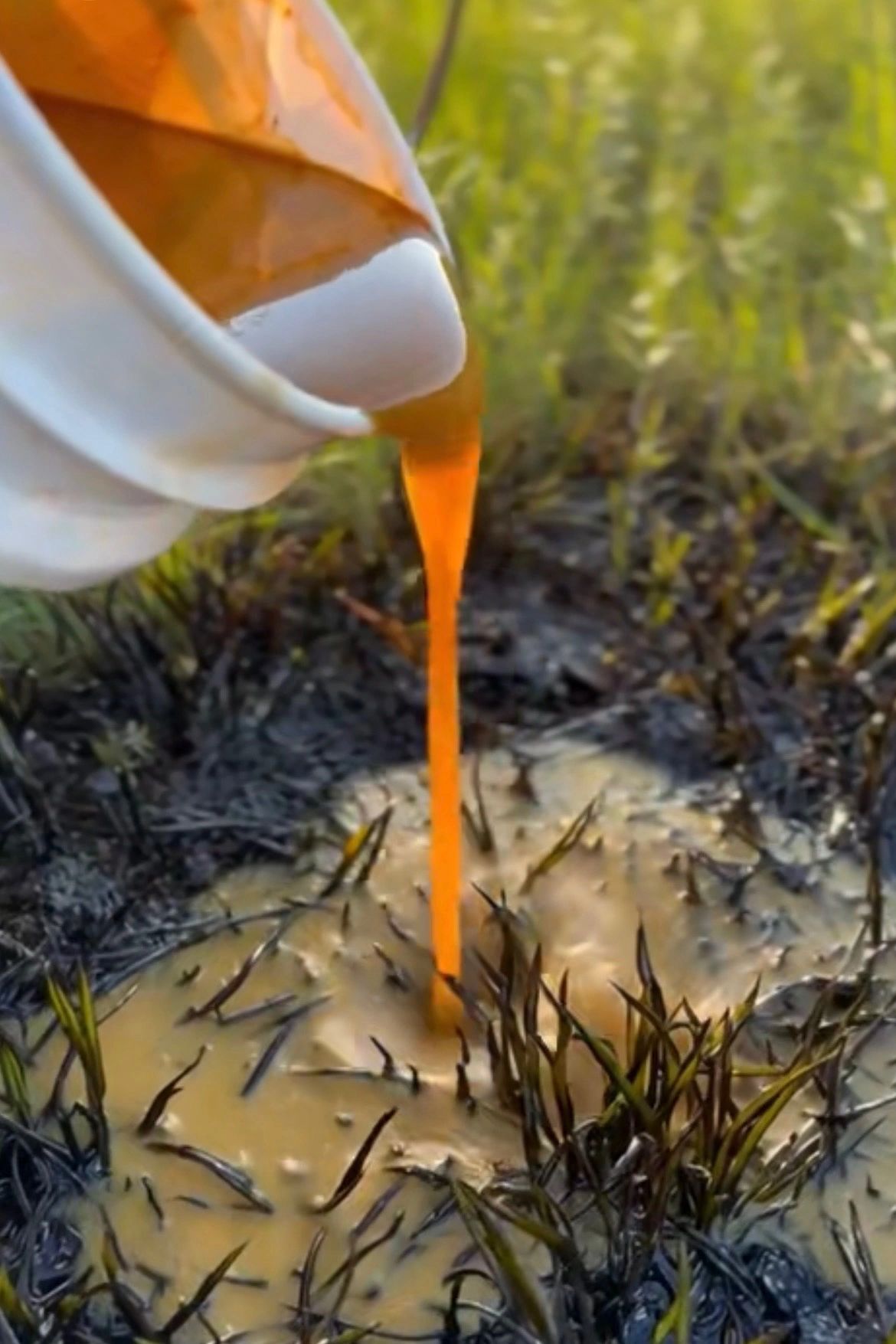 Watering orange liquid soil
